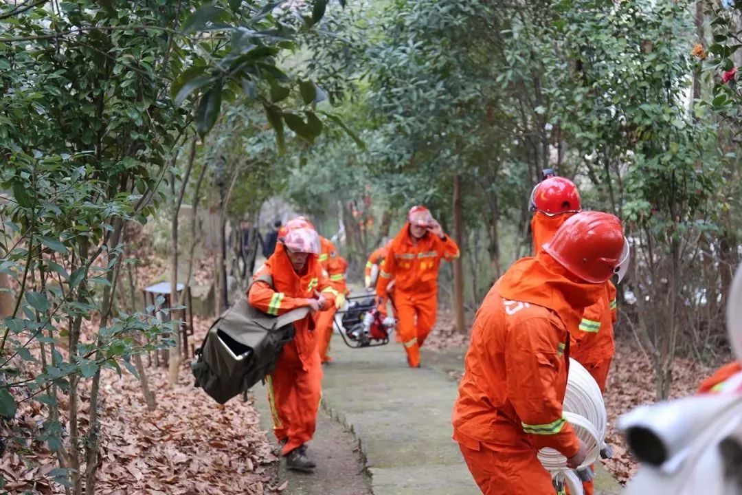 清明时节，，，，区长紧盯森林防火，，，，要求必需全力以赴，，，，严防死守！