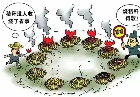bet8·(股份)有限公司官网