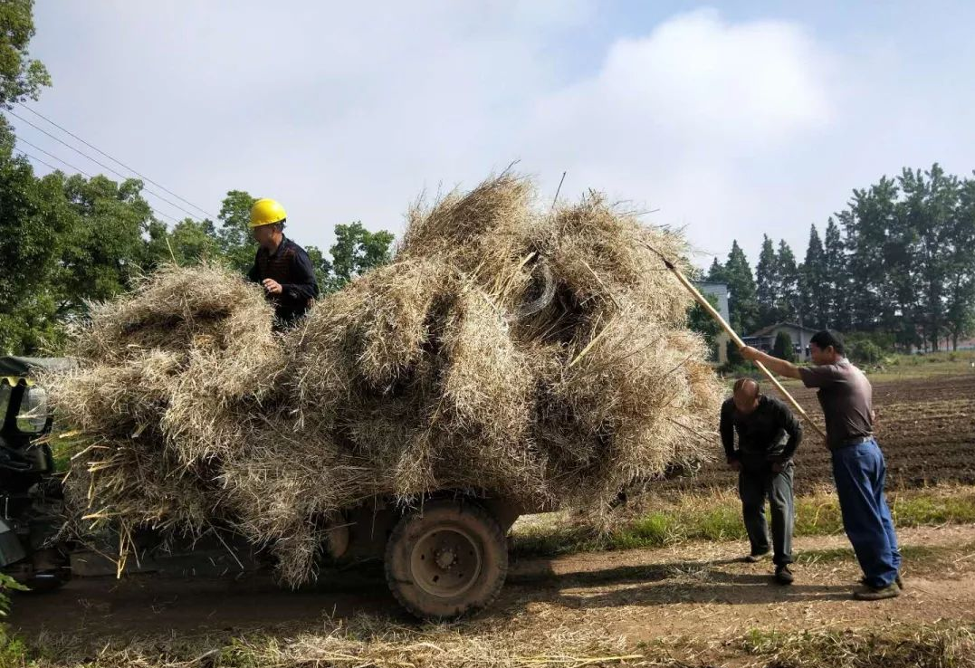 “堵疏”并举，，，，抓实露天秸秆禁烧监控