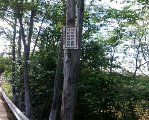怎样做好夏日森林防火事情？？？？？洛带有这四大妙招