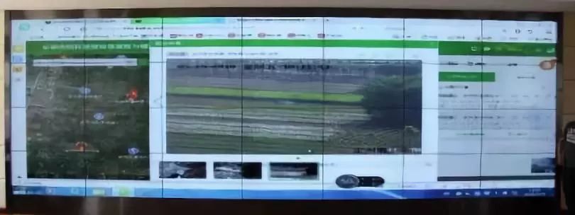 bet8·(股份)有限公司官网
