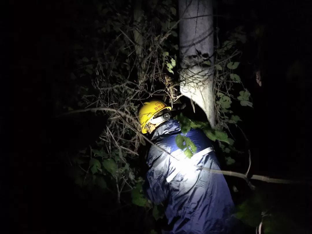 水电分公司开启夜巡模式，，，确保电力装备“不中暑”