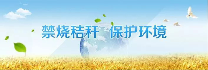 bet8·(股份)有限公司官网