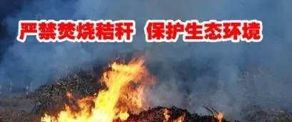 bet8·(股份)有限公司官网